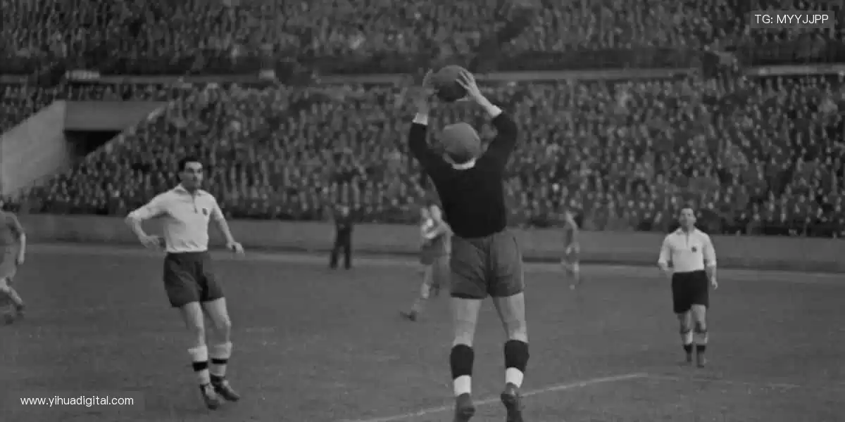 高清直播，细节尽收眼底👀